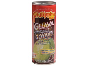 Philippine Guava Nectar 250ml